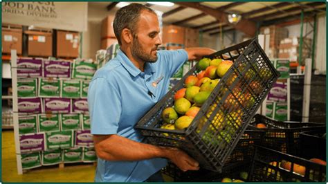 Cheese Caves and Food Surpluses: Why the U.S. Government currently.